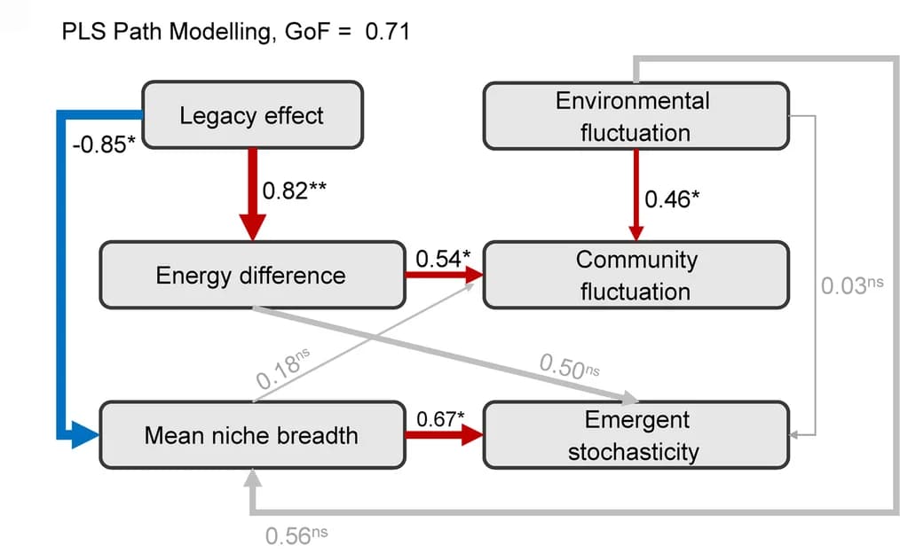 Open access visualization of Workflow, Flowchart, Partial Least Squares Path Modeling, PLS-PM, Cause-Effect Mechanisms