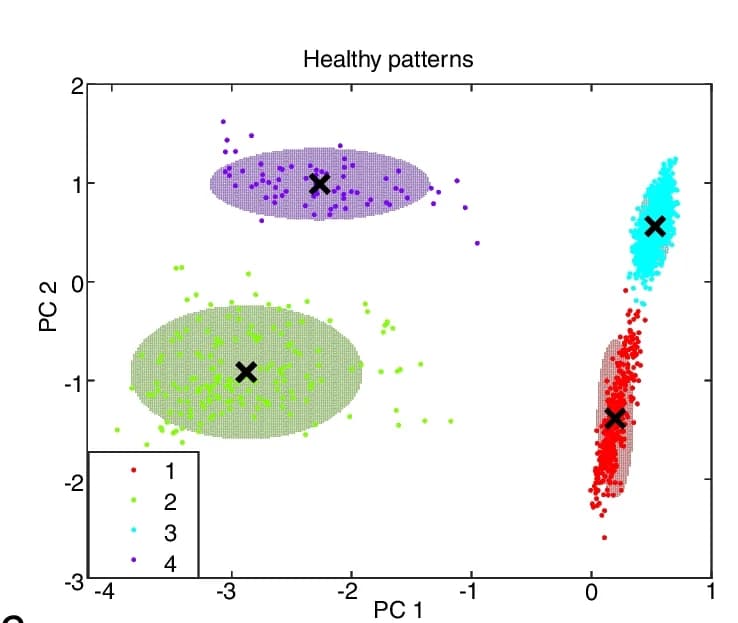 Open access visualization of Scatter Plot, PCA, Microbial Composition, Clustering
