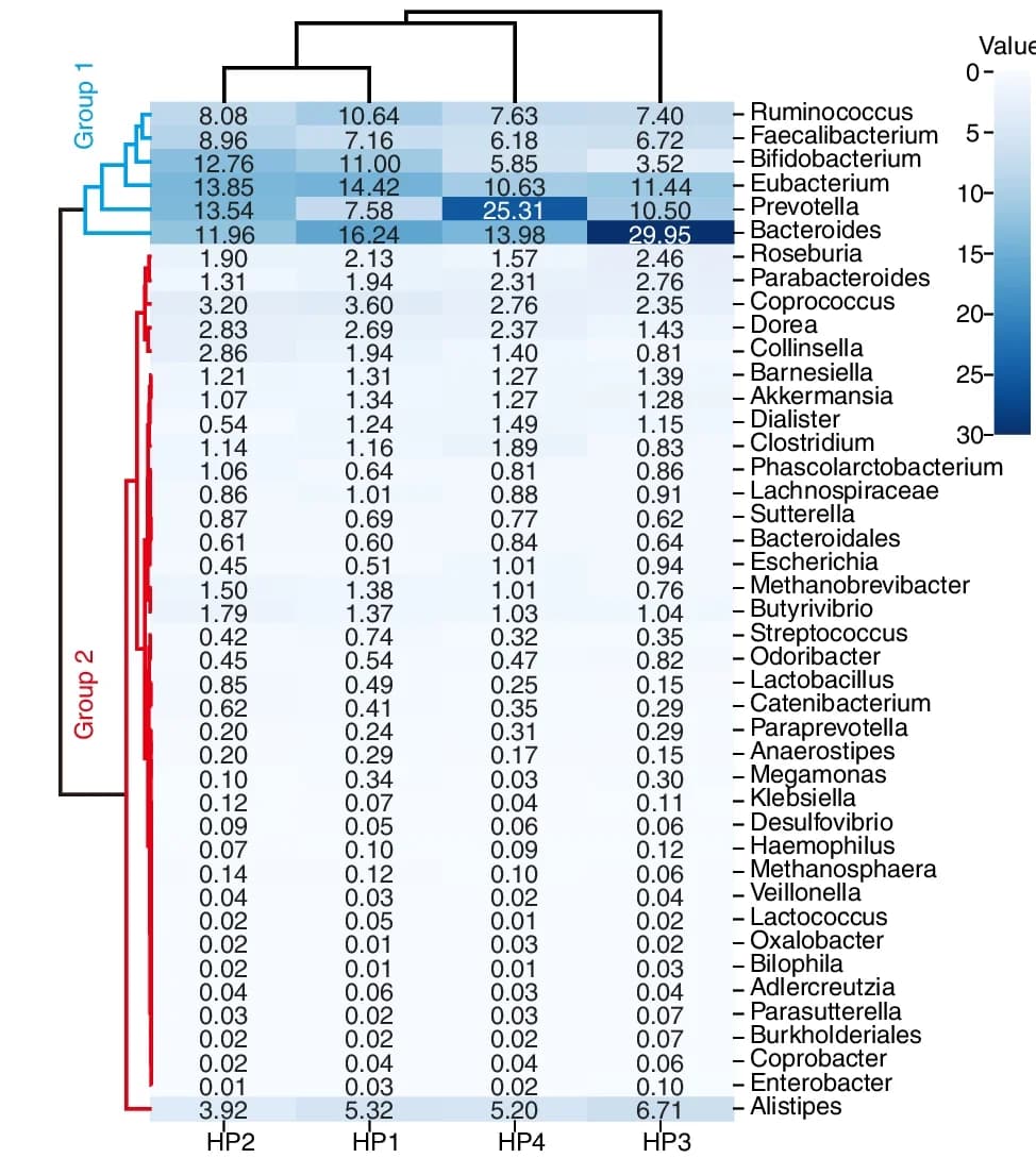 Open access visualization of Heatmap, Clustered, Thermal Clustering, Microbial Composition, Bacteroides