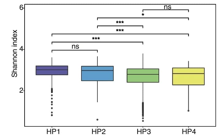 Open access visualization of Box Plot, Alpha Diversity, Microbial Composition