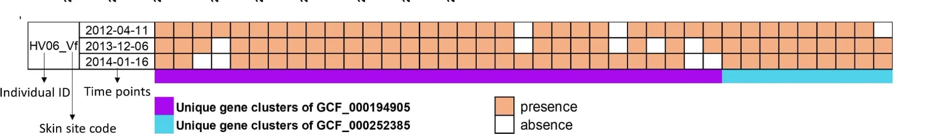 Open access visualization of Bar Plot, Gene Clusters, StrainGE, StrainEst
