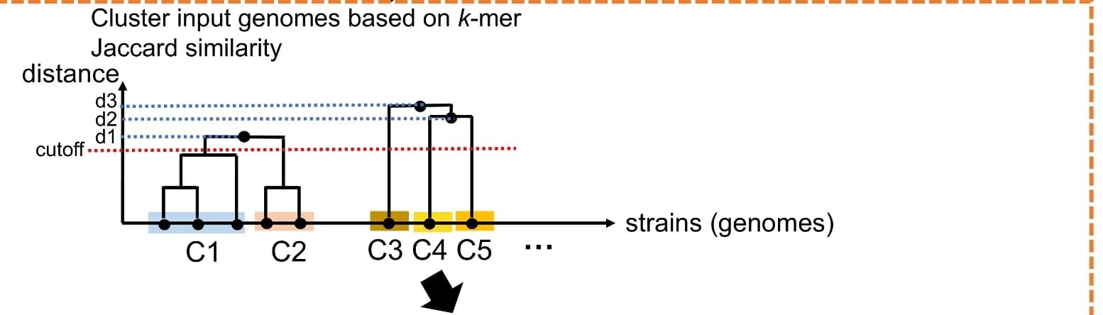 Open access visualization of Line Plot, Line Step, Strain Genome Clustering, Bacteria, K-mers Jaccard Similarities