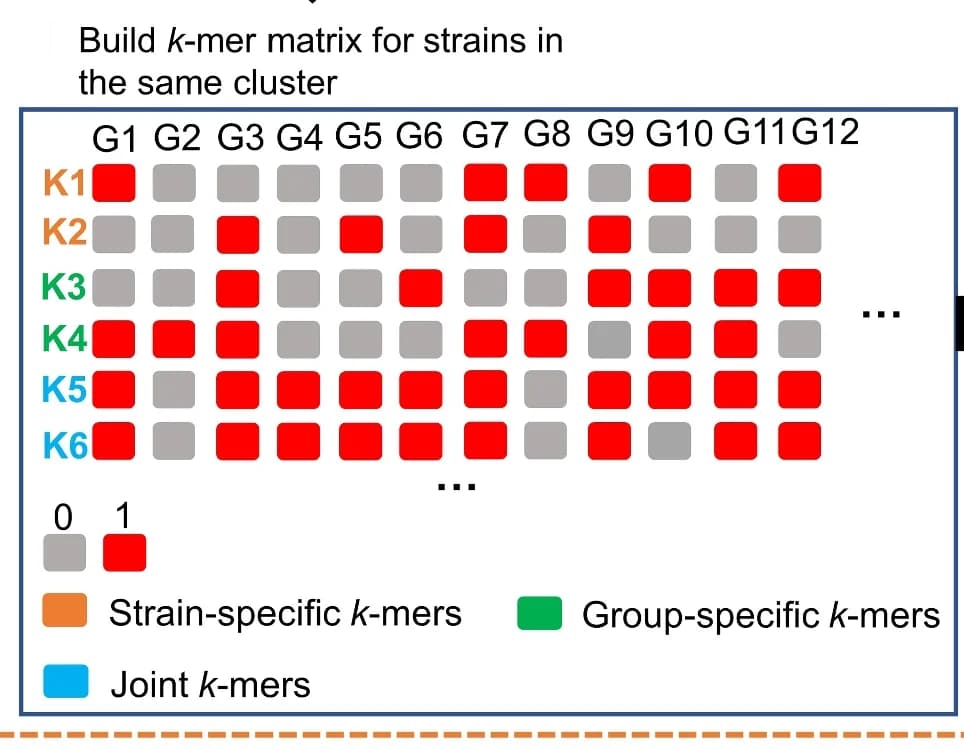 Open access visualization of Heatmap, Indexing Structure, Reference Genomes