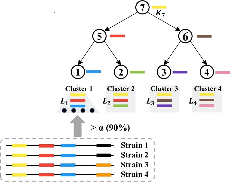 Open access visualization of Network, Pathway, k-mers, CST-based indexing, subtree