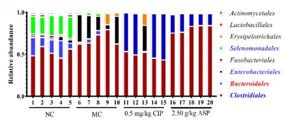 Open access visualization of Stacked Bar Plot, cecal microbiota, Order