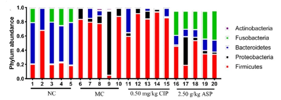 Open access visualization of Stacked Bar Plot, OTUs, Phylum, Rectal Microbiota