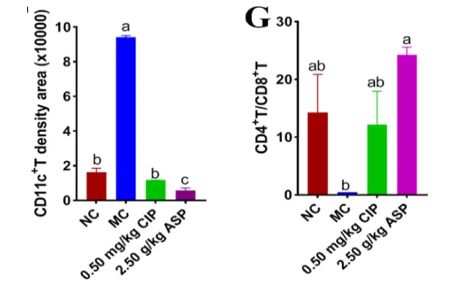 Open access visualization of Bar Plot, Error Bars, CD11c, Quantification, Image J