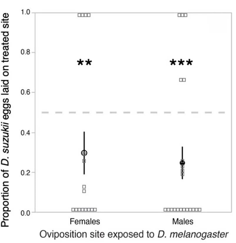 Open access visualization of Scatter Plot, Error Bars, D. melanogaster, Males, Females