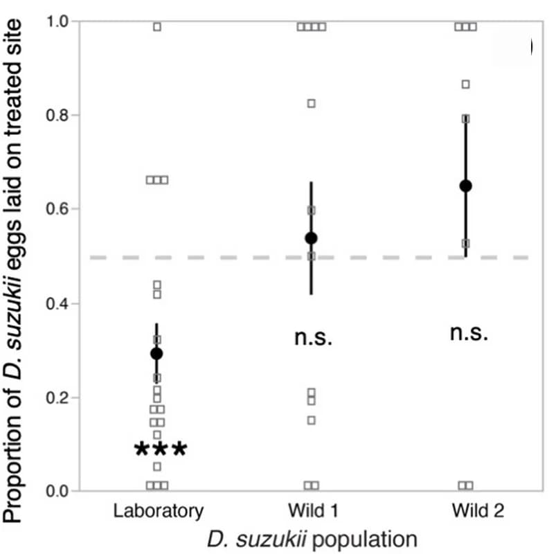 Open access visualization of Scatter Plot, Error Bars, D. suzukii, Females, Oviposition