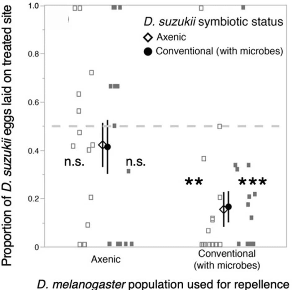 Open access visualization of Scatter Plot, Error Bars, Axeny, Microorganisms, D. melanogaster