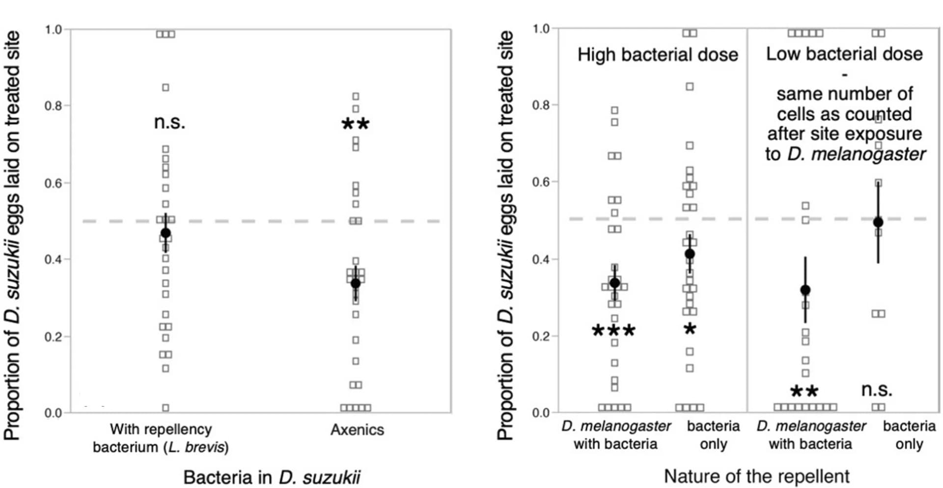Open access visualization of Scatter Plot, Error Bars, D. suzukii, Lactobacillus brevis, Oviposition