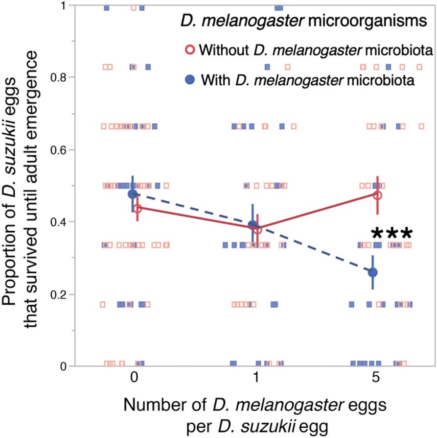 Open access visualization of Line Plot, Error Bars, Scatter Plot, D. melanogaster, D. suzukii