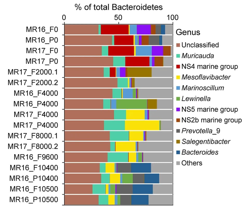 Open access visualization of Stacked Bar Plot, Metagenome, 16S rRNA Gene, Bacteroidetes, Genus Level