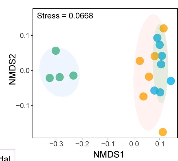 Open access visualization of Scatter Plot, NMDS Analysis, Bray-Curtis Dissimilarities, Bacteroidetes CAZyme Genes, Confidence Interval