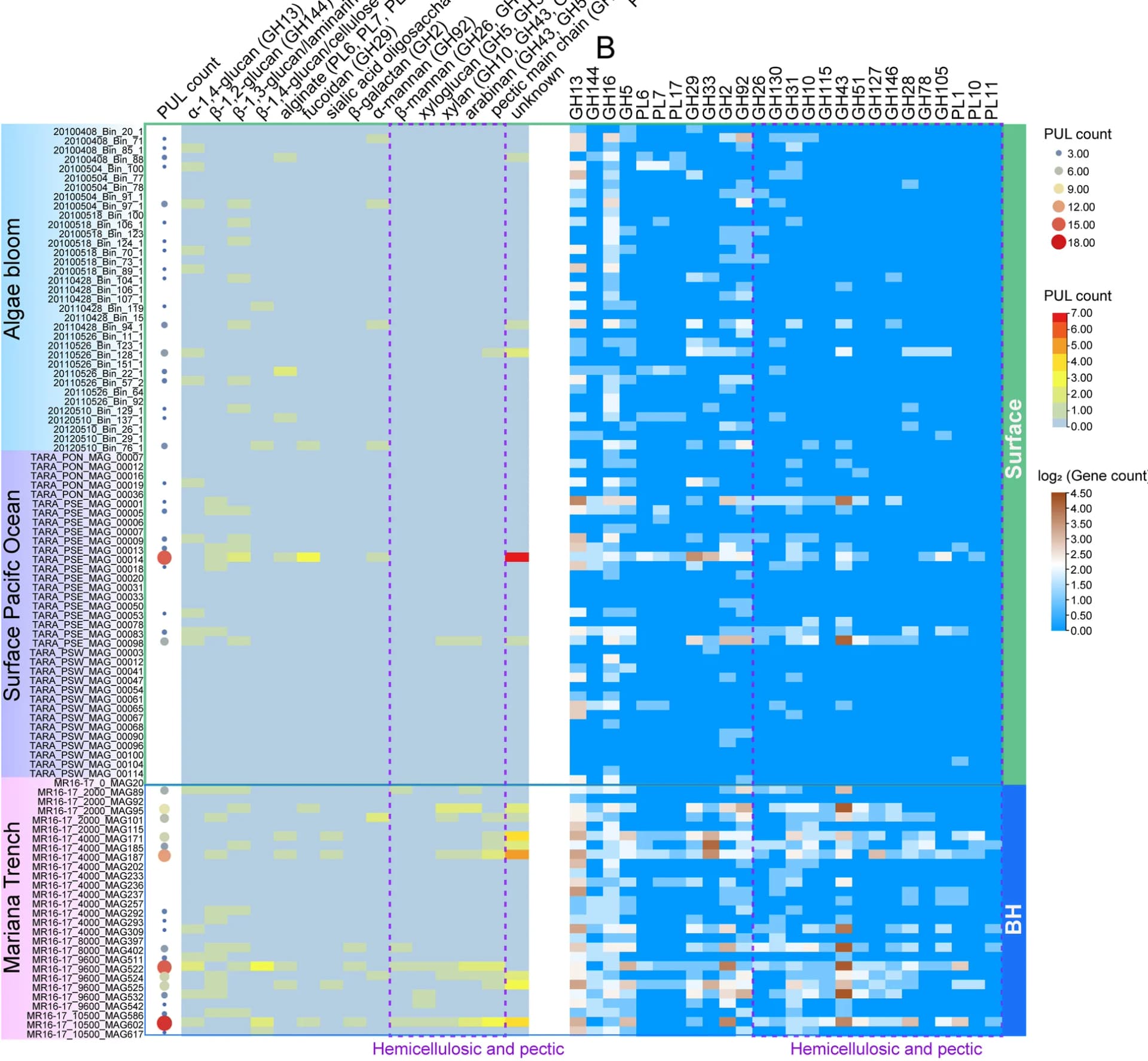 Open access visualization of Heatmap, Bubble Plot, MAGs, Predicted PULs, Glycans