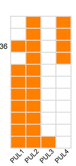 Open access visualization of Heatmap, PULs, Mesoflavibacter MAGs