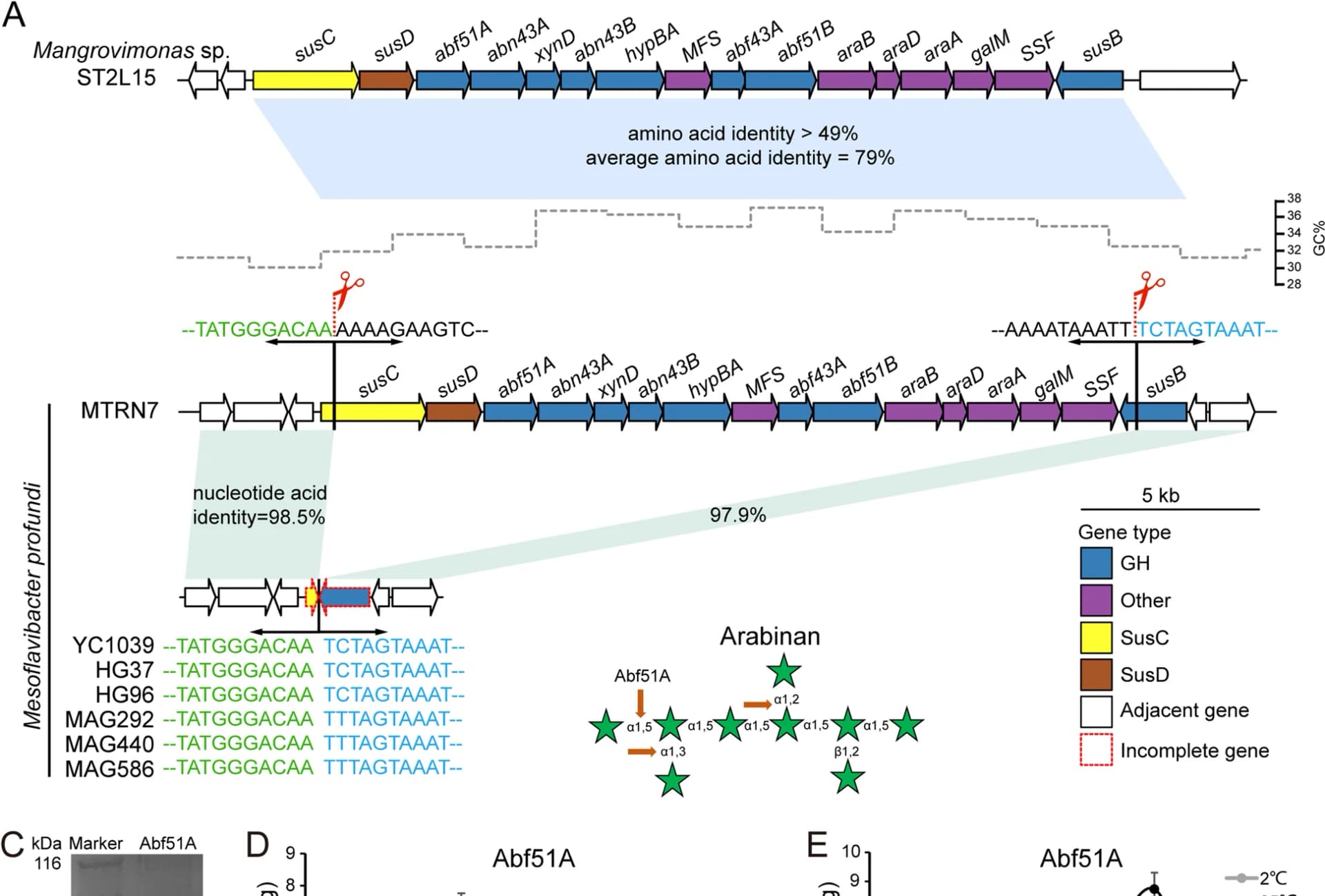 Open access visualization of Workflow, Gel, Line Plot, Error Bars, Cleavage Sites