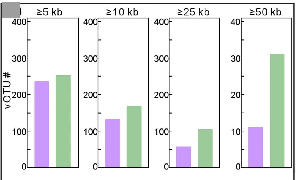 Open access visualization of Bar Plot, Clustered, vOTUs, SR Assembly, SLR Assembly