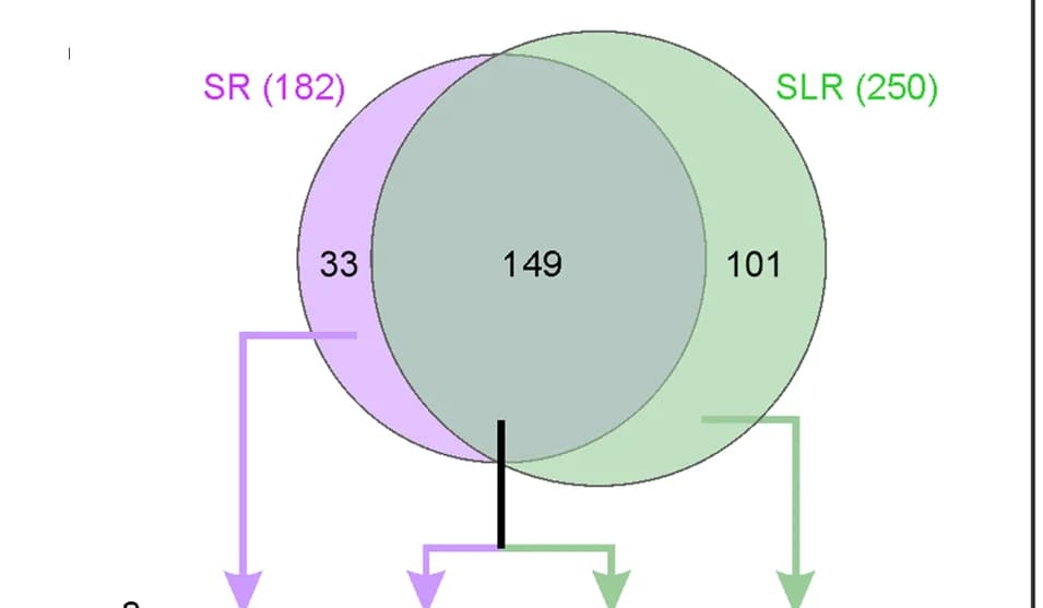 Open access visualization of Venn Diagram, vOTUs, SR Assembly, SLR Assembly, Viral Contigs