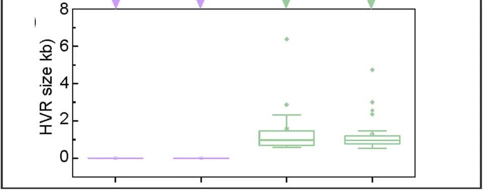 Open access visualization of Box Plot, Scatter Plot, HVR, vOTUs, SR Assembly