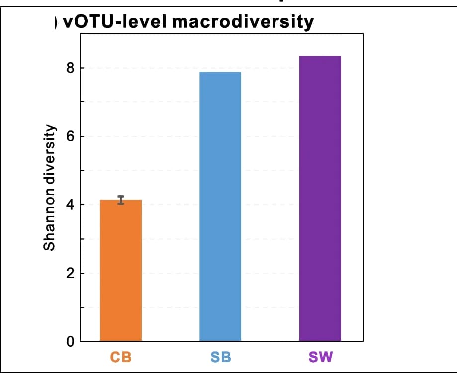 Open access visualization of Bar Plot, Error Bars, Viral Macrodiversity, vOTU, Shannon Diversity