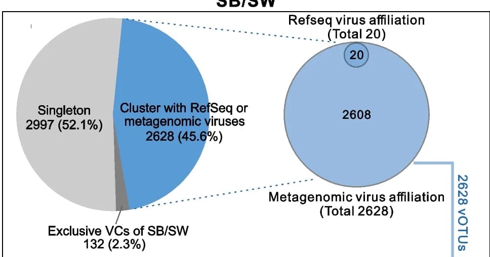 Open access visualization of Pie Chart, Venn Diagram, Genus-level profiles, CB vOTUs, SB/SW vOTUs
