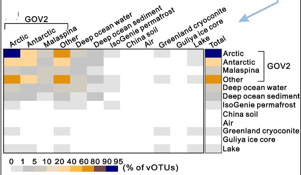 Open access visualization of Heatmap, Environmental associations, CB vOTUs, SB/SW vOTUs, Environmental metagenomes