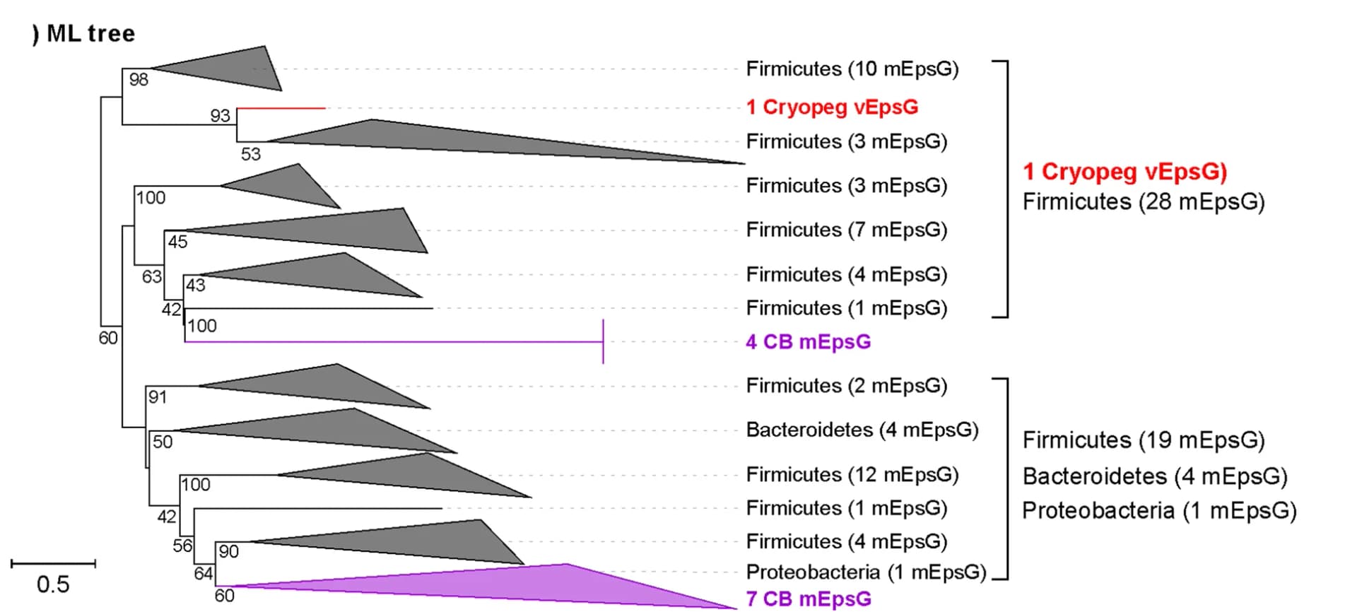 Open access visualization of Network, Phylogenetic Tree, Viral epsGs, Microbial epsGs, Protein Sequences