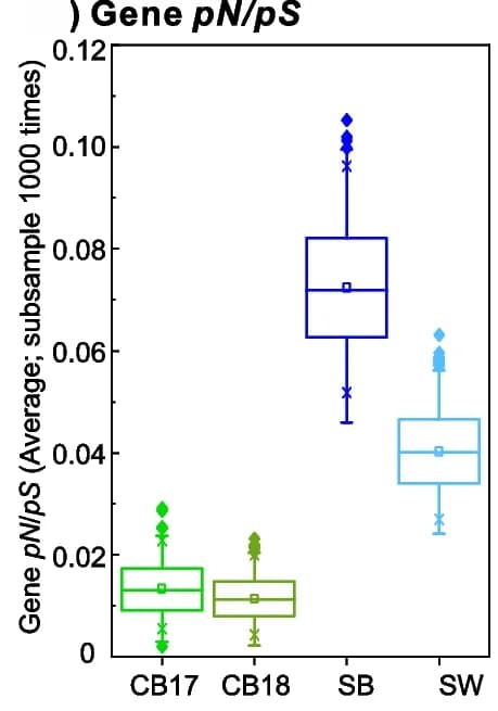 Open access visualization of Box Plot, Scatter Plot, Selection pressures, Viral Genes, pN / pS values