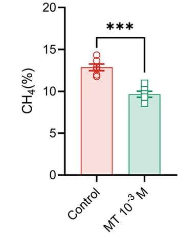 Open access visualization of Bar Plot, Error Bars, Methane Production, Concentration, Fermentation