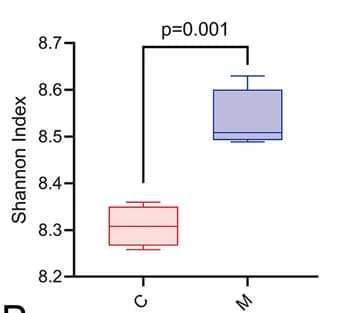 Open access visualization of Box Plot, Alpha Diversity