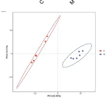 Open access visualization of Scatter Plot, PCA, Beta Diversity