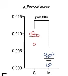 Open access visualization of Scatter Plot, Prevotellaceae, 16S rRNA Sequencing