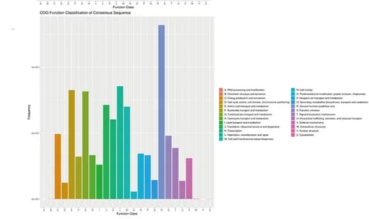 Open access visualization of Bar Plot, Clusters of Orthologous Groups, Function Classification, Consensus Sequence
