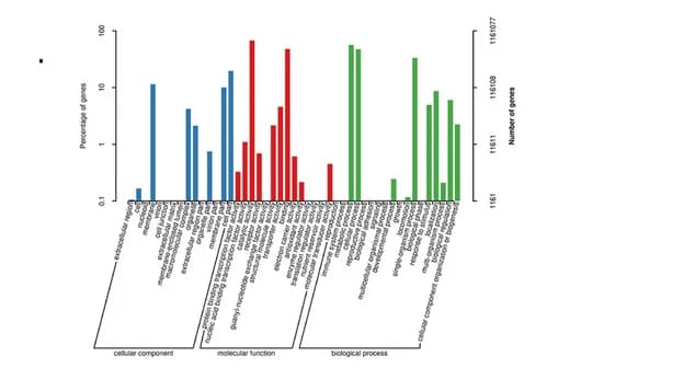 Open access visualization of Bar Plot, Gene Ontology, Classification