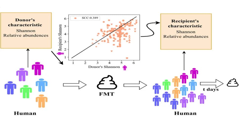Open access visualization of Scatter Plot, Workflow, Donor, Recipient, FMT