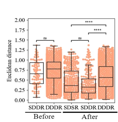 Open access visualization of Box Plot, Scatter Plot, Euclidean Distance, ASVs, Human to Human Cohorts