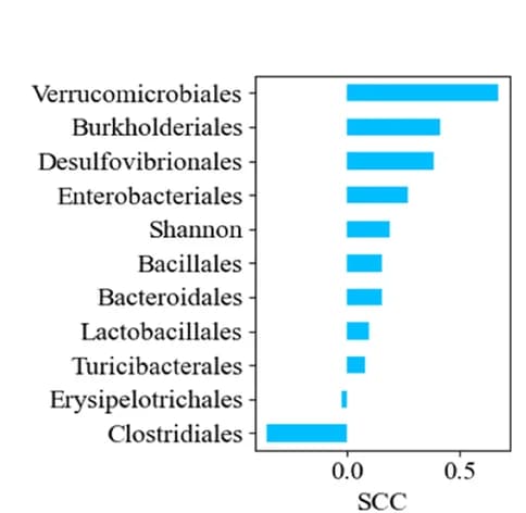 Open access visualization of Bar Plot, Donor, Recipient, Shannon, Human to GF Cohorts