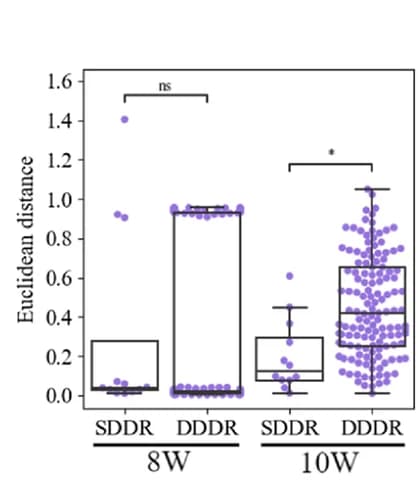 Open access visualization of Box Plot, Scatter Plot, Euclidean distance, ASVs, FMT