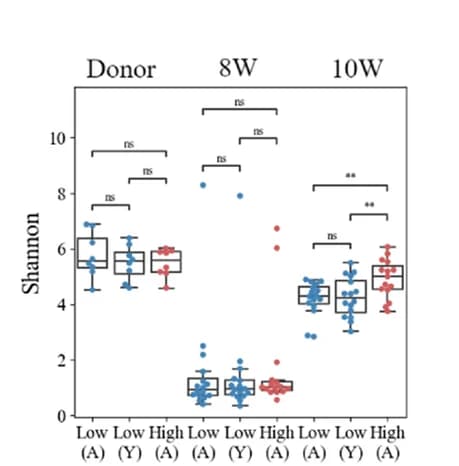Open access visualization of Box Plot, Scatter Plot, Shannon diversity, FMT, Microbial diversity