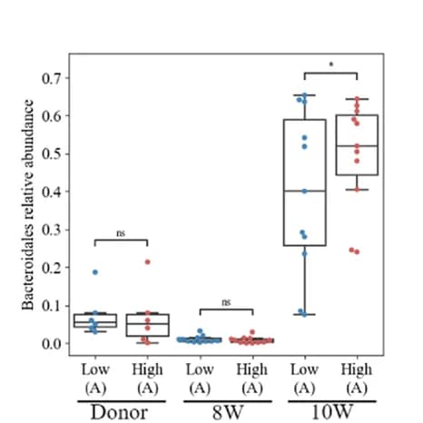 Open access visualization of Box Plot, Scatter Plot, Bacteroidales, Relative abundance, FMT