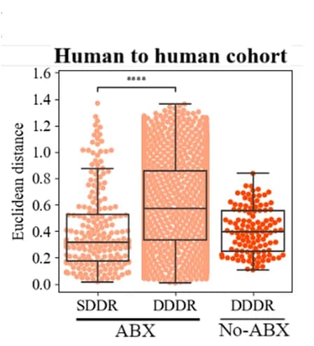 Open access visualization of Box Plot, Scatter Plot, Raincloud Plot, Euclidean distance, ASVs