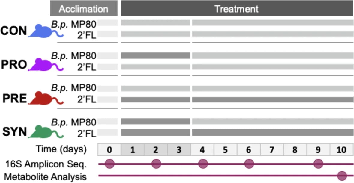 Open access visualization of Illustration, Workflow, Line Plot, Mouse Trial, Experimental Design