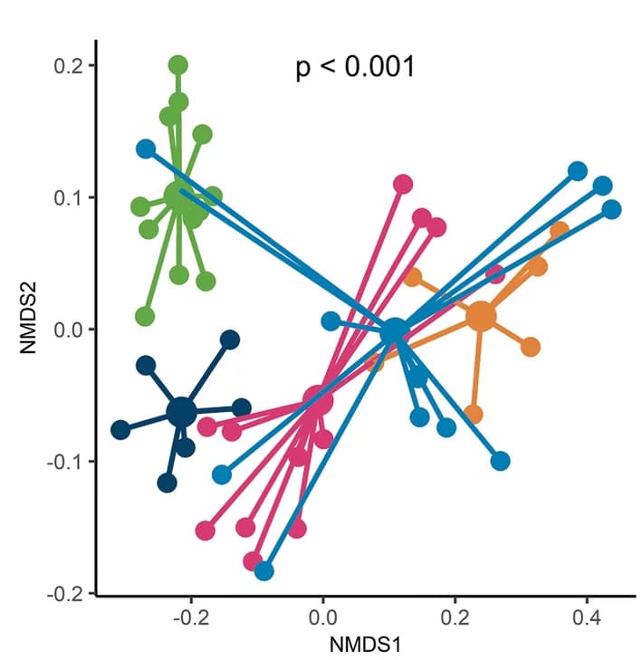 Open access visualization of Scatter Plot, NMDS, Microbial Community, Synbiotic Mice