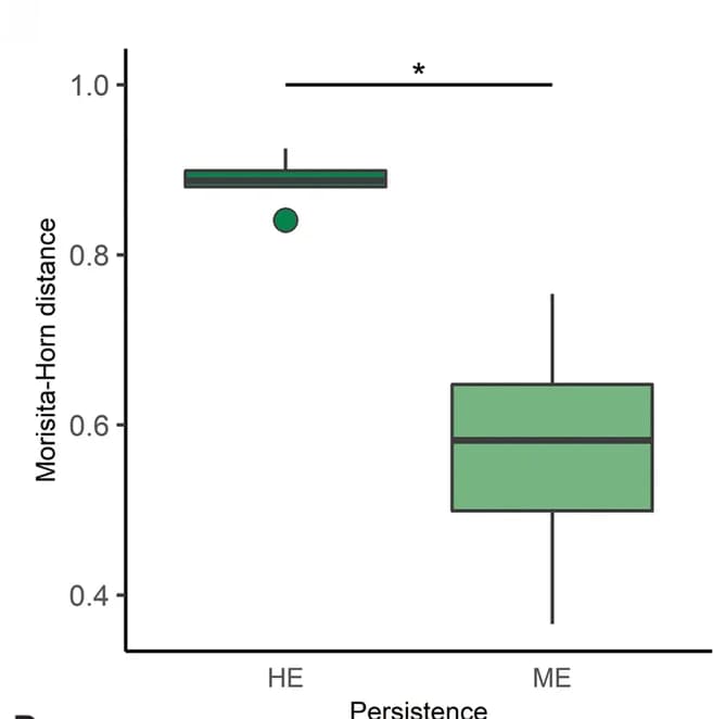 Open access visualization of Box Plot, Morisita-Horn distances, Synbiotic treated mice, Bifidobacteria