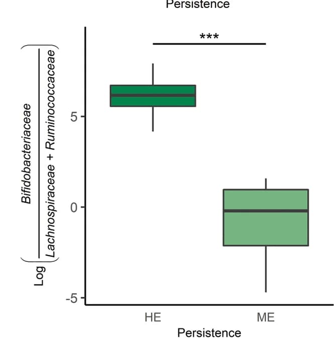 Open access visualization of Box Plot, Log ratio, Bifidobacteriaceae, Lachnospiraceae, Ruminococcaceae