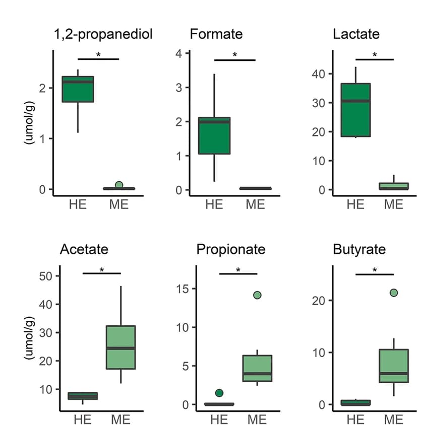 Open access visualization of Box Plot, Scatter Plot, Colon Content, Metabolites, Bifidobacteriaceae
