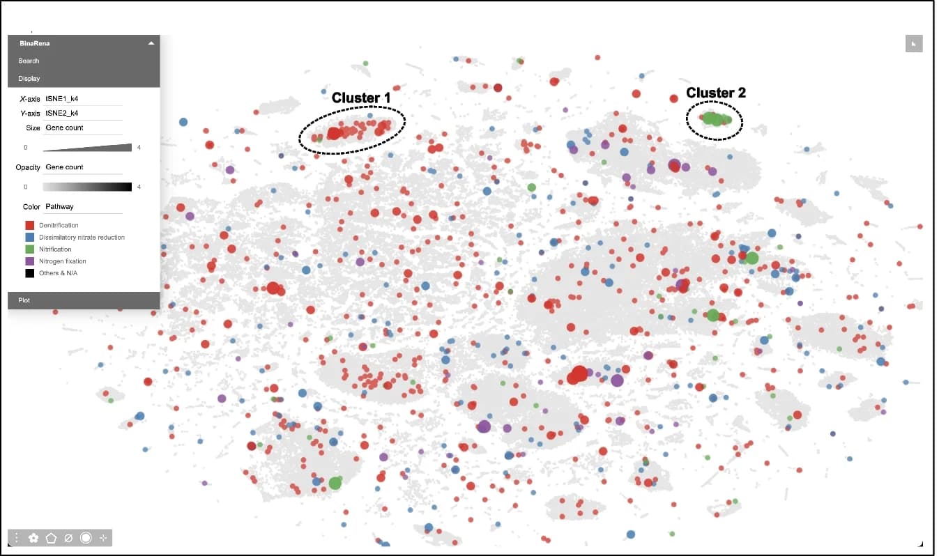 Open access visualization of Scatter Plot, Bubble Plot, UMAP, PCA, Assembly