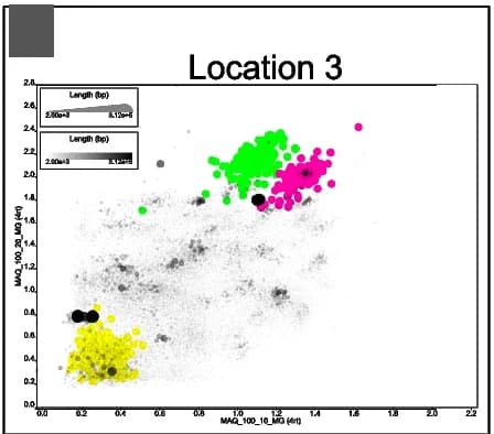 Open access visualization of Scatter Plot, Bubble Plot, Nitrososphaerales, BinaRena, MAG abundance