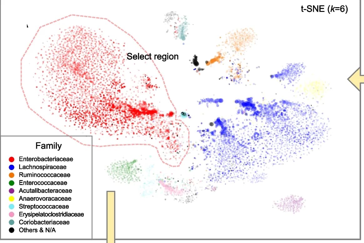 Open access visualization of Scatter Plot, UMAP, t-SNE, k-mer, Enterobacteriaceae contigs